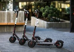 bird scooter