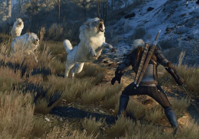 witcher cd projekt red the witcher 3