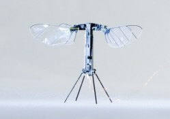 harvard robobee x-wing with video