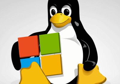 microsoft linux security