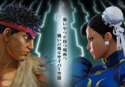 japanese street fighter japan police