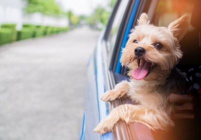 uber ride sharing