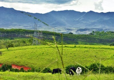 google brazilians brazil plus codes