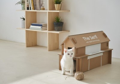 packaging samsung cat