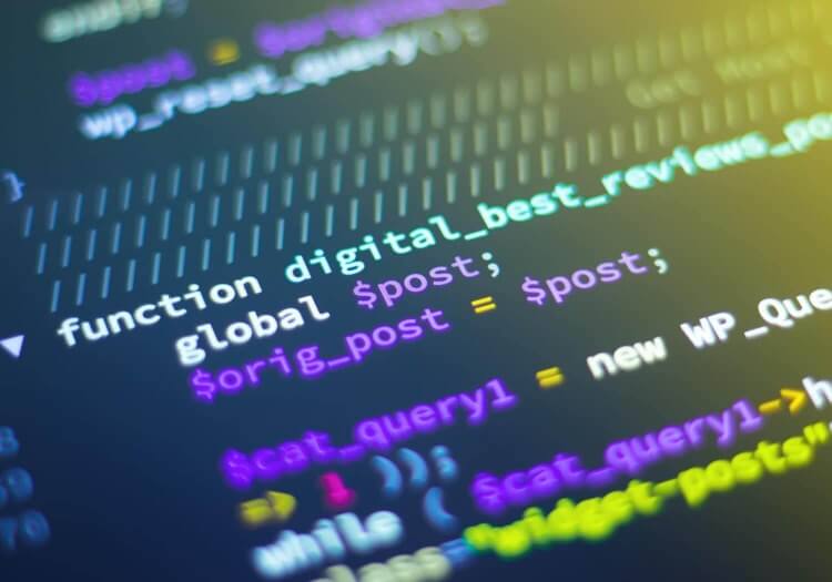 python developers coding programming