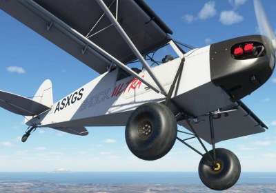 flight simulator