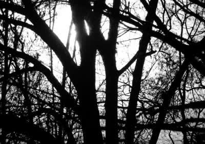blair witch oculus quest halloween virtual reality with video