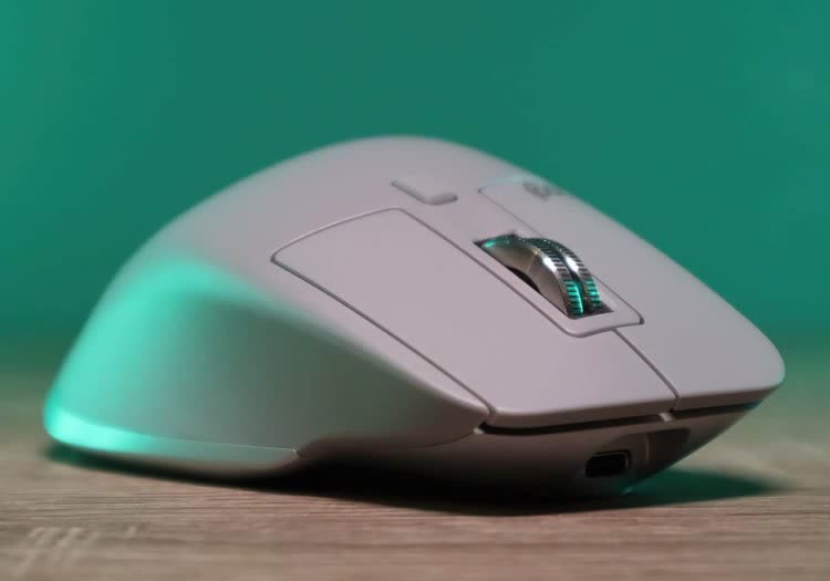 Anatomy of a Mouse