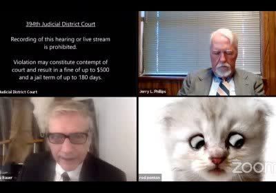 lawyer zoom video call law with video