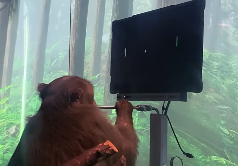 Elon Musk's Neuralink releases video of monkey playing Pong with its ...