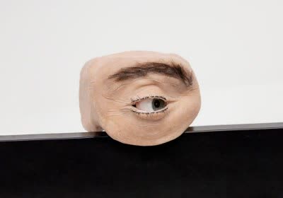 human webcam