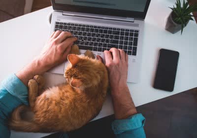 americans survey work work from home