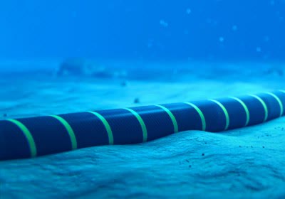 google firmina north south america undersea cable