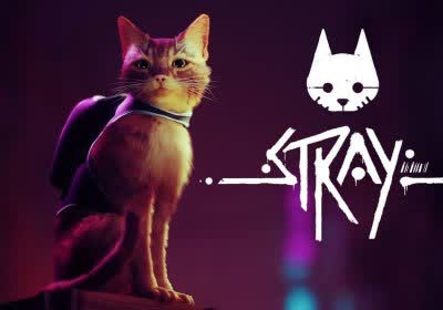 cat stray playstation simulator annapurna