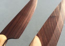 researchers wood with video