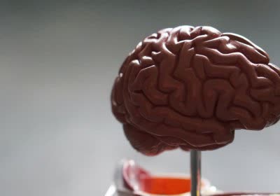 researchers medical science neuroprosthetics