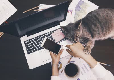 working employees work from home remote work survey
