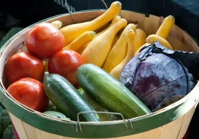 researchers green plastic food