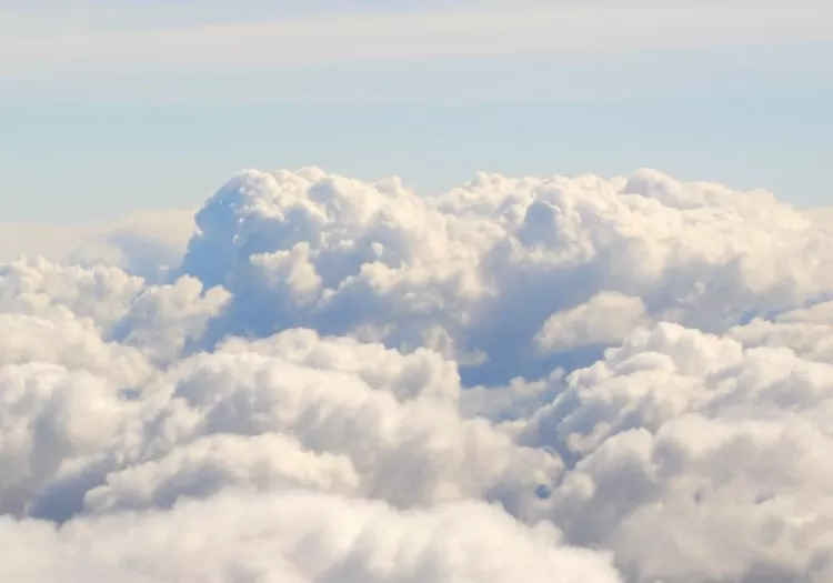 Cloud Storage Basics: Google Drive, Dropbox, OneDrive, and More Compared