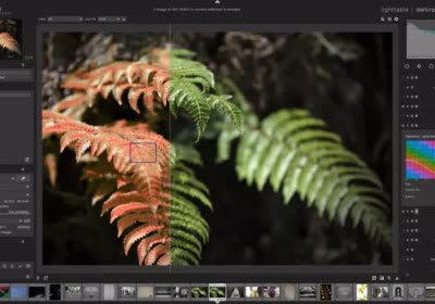 darktable