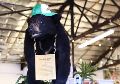 cybersecurity fancy bear satellite russian hackers