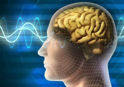 pieeg raspberry diy raspberry pi with video