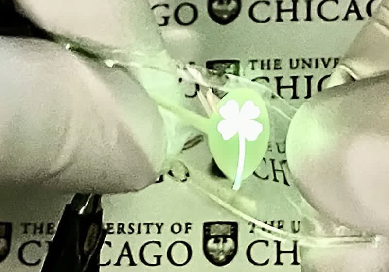 Researchers show off extremely flexible OLED display that stretches to ...
