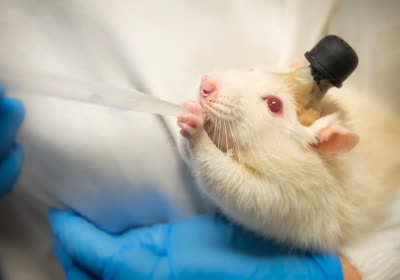 machine research brain machine learning with video