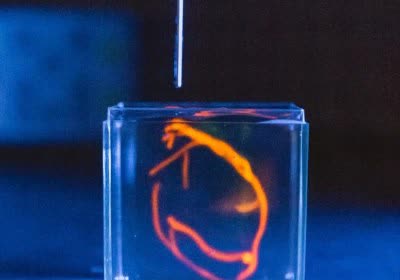 scientists print human heart tissue stem cells implications huge stanford medical 3d printing with video