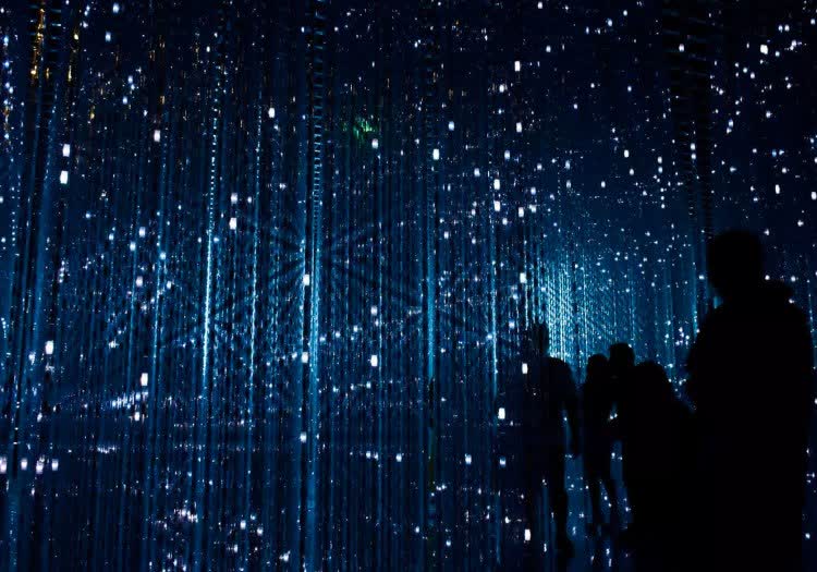 The Dark Web: Exploring the Hidden Internet