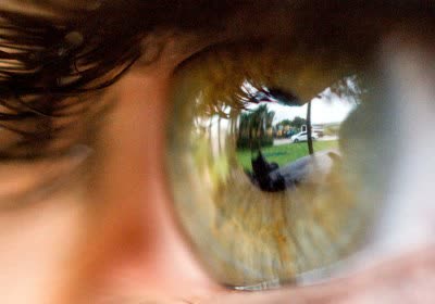 researchers neural networks imagery with video