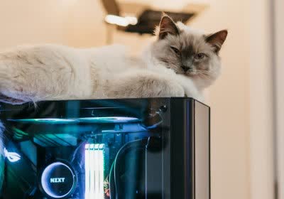 black epic games store steam black friday sales