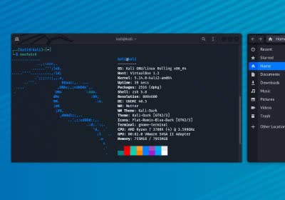 kali linux linux hacking security operating system
