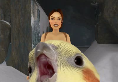 tomb raider remastered