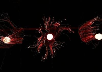 fiber optic cables japan ntt nec