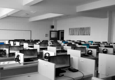 survey layoffs workplace