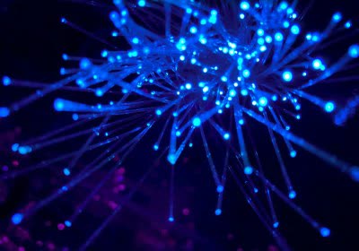 fiber fiber optics