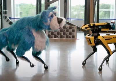 boston dynamics spot robotics found with video