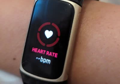 google fitbit apps customer satisfaction customer service