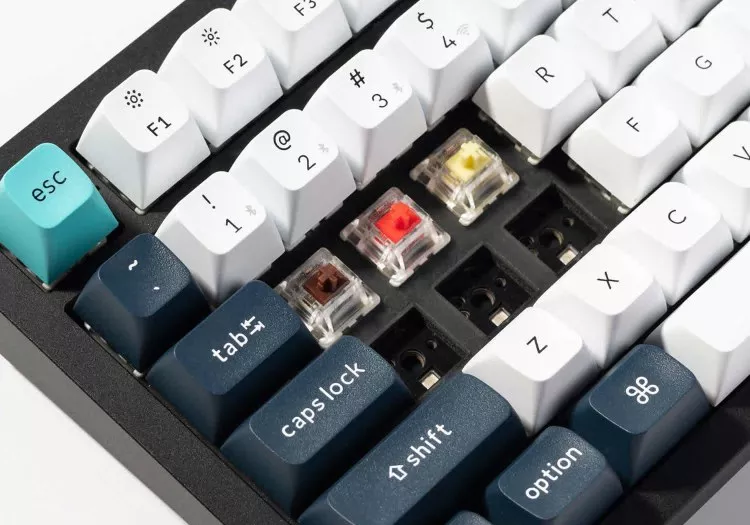 Typing in Style: Our Favorite Keyboards of 2024