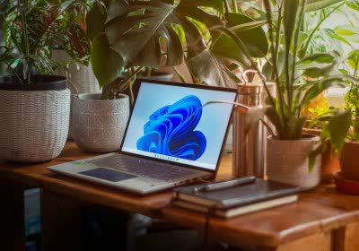 latest steam windows valve gpu cpu steam survey graphics card windows 11