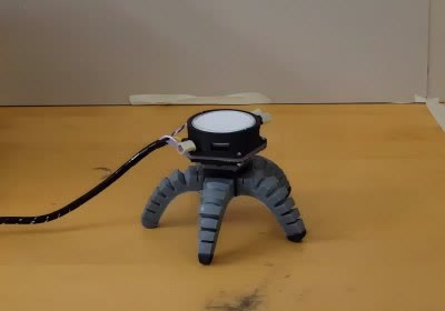 king with video robots biology