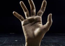 robots with video found