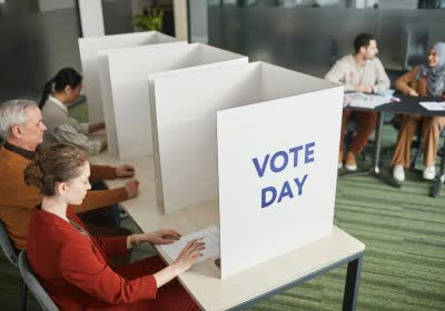 security government vulnerability voting