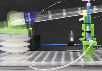 world- robots breakthrough with video