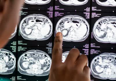 environmental brain healthcare biology fmri