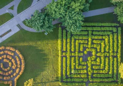 ibm generative ai insurance