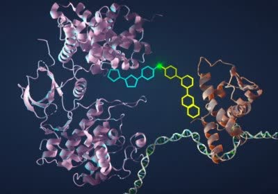 biology cancer bioengineering