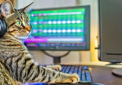 nvidia music audio creation cat