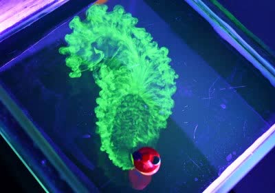 vodka-powered cheerios robots alcohol